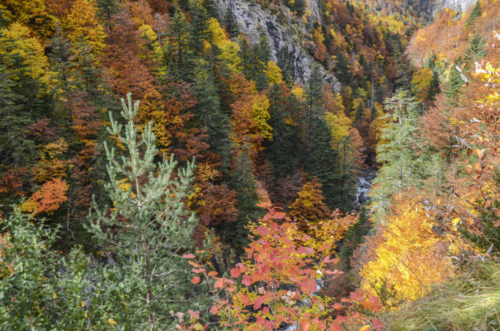 Huesca - valle de Bujaruelo 32.jpg